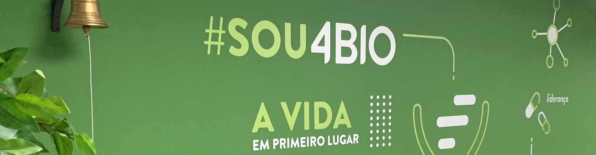 O que fizemos: