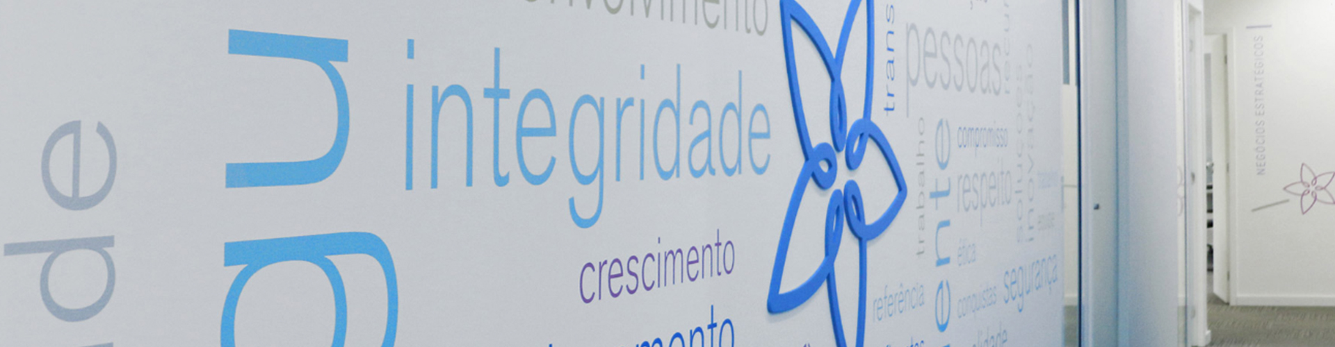 O que fizemos: